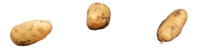 oimos